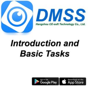 DMSS Introduction-and-Basic-Task